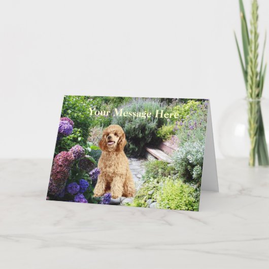 Carte de voeux Poodle Garden (Devant)
