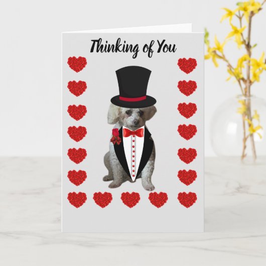 Carte de vœux Poodle pour penser à vous (Fleur jaune)