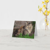 Carte de vœux portrait de chat sauvage (Fleur jaune)