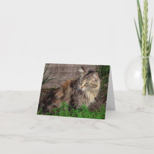 Carte de vœux portrait de chat sauvage (Devant)