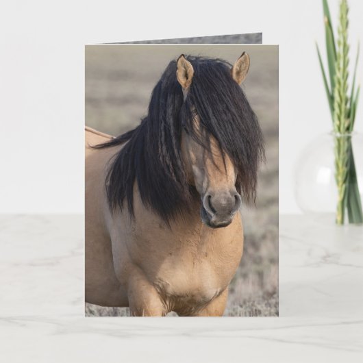 Carte de vœux portrait de Fallen Star (Devant)