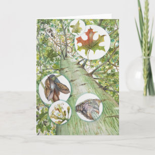 Carte de voeux pour arbre à bouteille (5" x 7") av