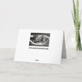 carte de voeux pour bébé chatons (Dos)