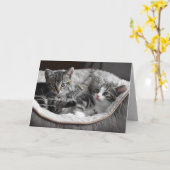 carte de voeux pour bébé chatons (Fleur jaune)