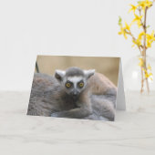 Carte de voeux pour bébé Lemur (Fleur jaune)