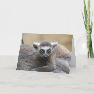 Carte de voeux pour bébé Lemur