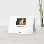 carte de voeux pour bébé tigre (Dos)