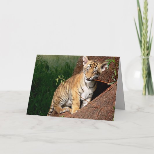 carte de voeux pour bébé tigre (Devant)
