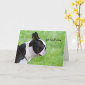Carte de vœux pour Boston Terrier pour un prompt r (Fleur jaune)