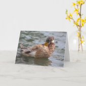 Carte de voeux pour canard (Fleur jaune)
