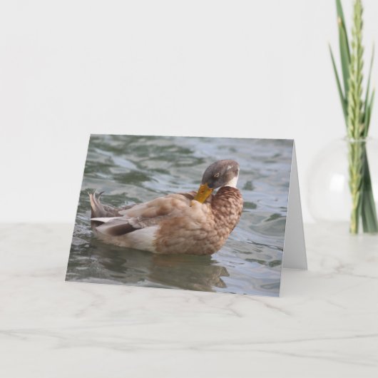 Carte de voeux pour canard (Devant)