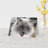 Carte de vœux pour chat (Fleur jaune)