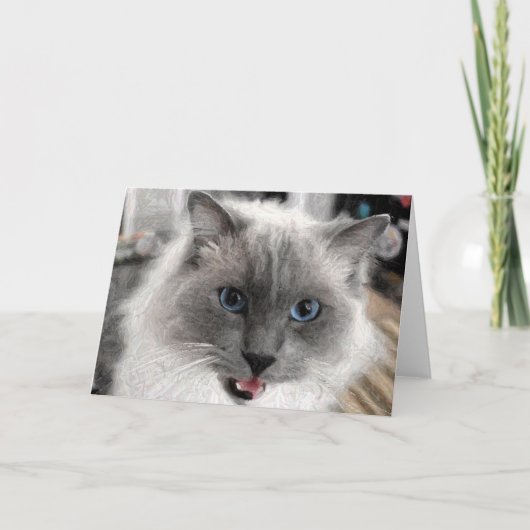 Carte de vœux pour chat (Devant)
