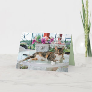 carte de voeux pour chat à l'heure du printemps