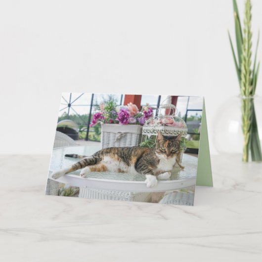 carte de voeux pour chat à l'heure du printemps (Devant)