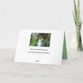 carte de voeux pour chat de jardin (Dos)