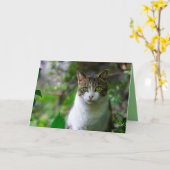 carte de voeux pour chat de jardin (Fleur jaune)