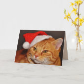 Carte de voeux pour chat de Noël (Fleur jaune)
