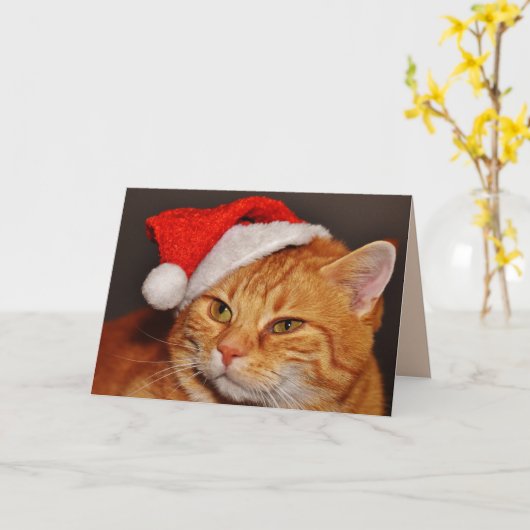 Carte de voeux pour chat de Noël (Fleur jaune)