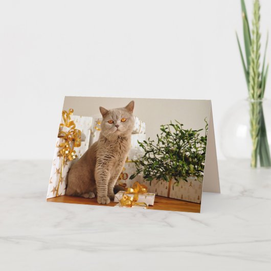 carte de voeux pour chat de noël (Devant)