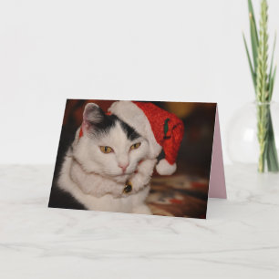 Carte de voeux pour chat de Noël