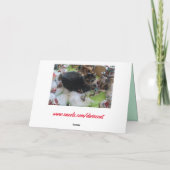 carte de voeux pour chat de noël (Dos)