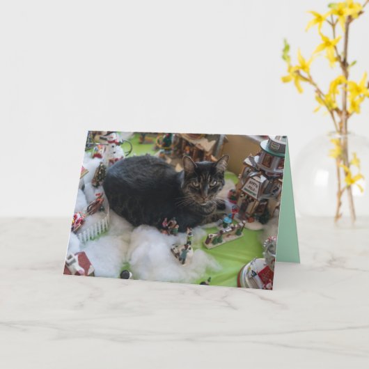 carte de voeux pour chat de noël (Fleur jaune)