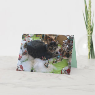 carte de voeux pour chat de noël