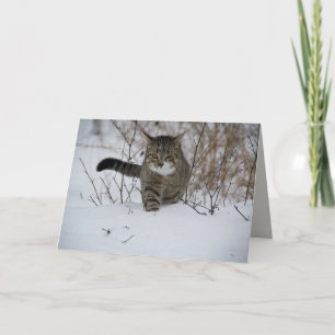 carte de voeux pour chat d'hiver