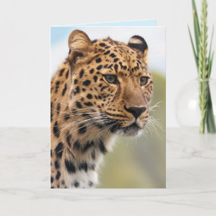 carte de voeux pour chat jaguar