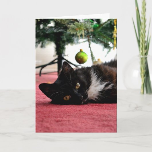 Carte de voeux pour chat Noël (Devant)