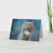 carte de voeux pour chat orageux (Devant)