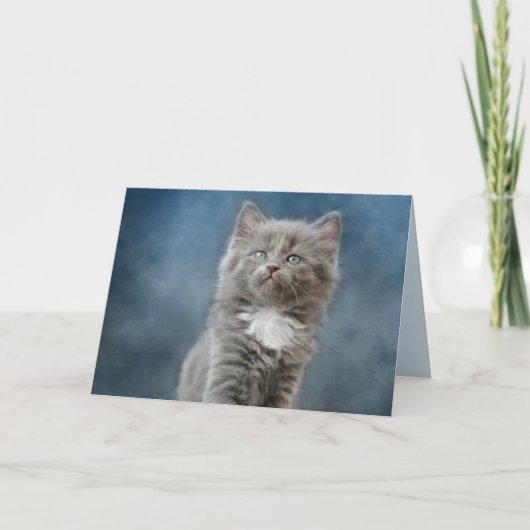 carte de voeux pour chat orageux (Devant)