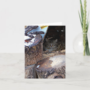 Carte de vœux pour chat sauvage en hiver