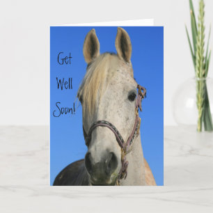Carte de voeux pour cheval Get Well Bientôt