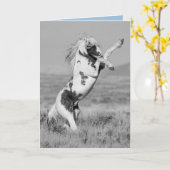 Carte de voeux pour Cheval sauvage Thars Rears (Fleur jaune)