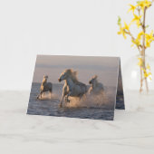 Carte de voeux pour chevaux - Camargue Coucher de  (Fleur jaune)