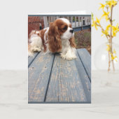 Carte de voeux pour chien (Fleur jaune)