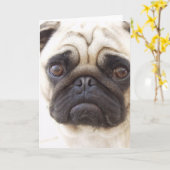 Carte de voeux pour chien carlin (Fleur jaune)