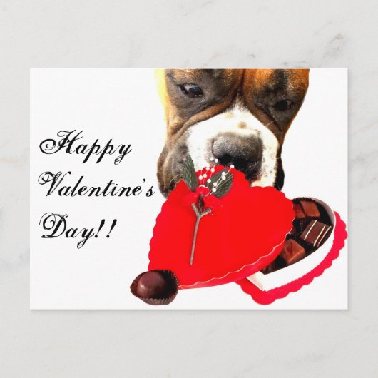 Carte de voeux pour chien de Valentine's Day Boxer (Devant)