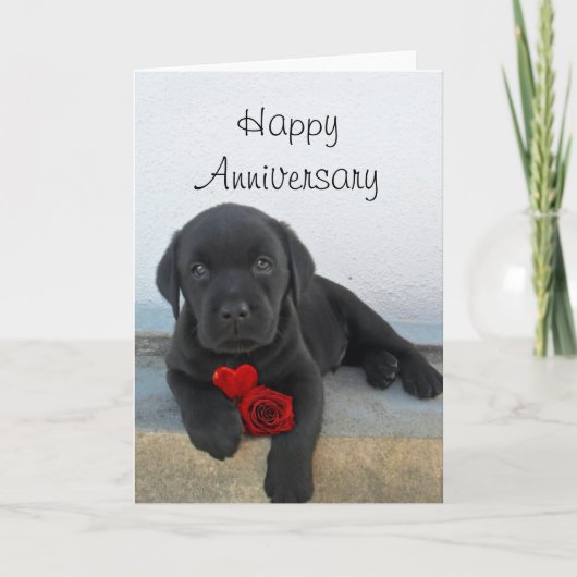 Carte de vœux pour chien Labrador pour anniversair (Devant)
