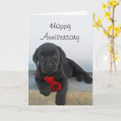 Carte de vœux pour chien Labrador pour anniversair (Fleur jaune)