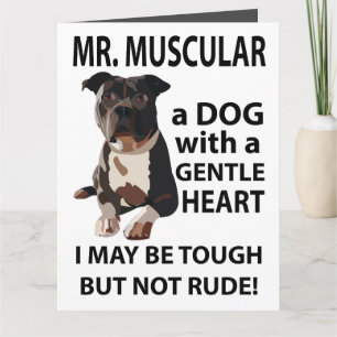 Carte de vœux pour chien Pitbull 