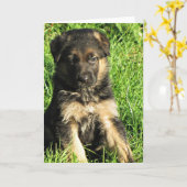 Carte de voeux pour chiot berger allemand (Fleur jaune)