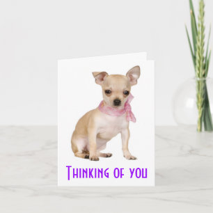 Carte de vœux pour chiot Chihuahua « Je pense à to
