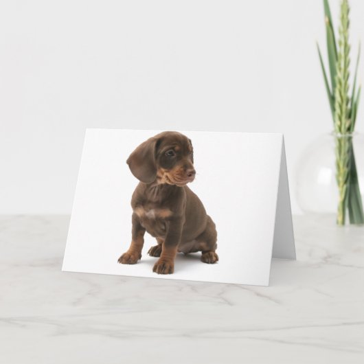 Carte de voeux pour chiot Dachshund (Devant)
