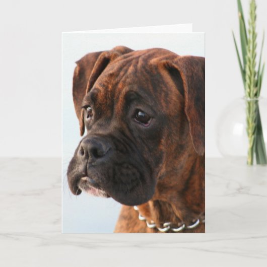 Carte de voeux pour chiot de boxe Brindle (Devant)