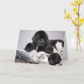 Carte de vœux pour chiot Notta Bear (Fleur jaune)
