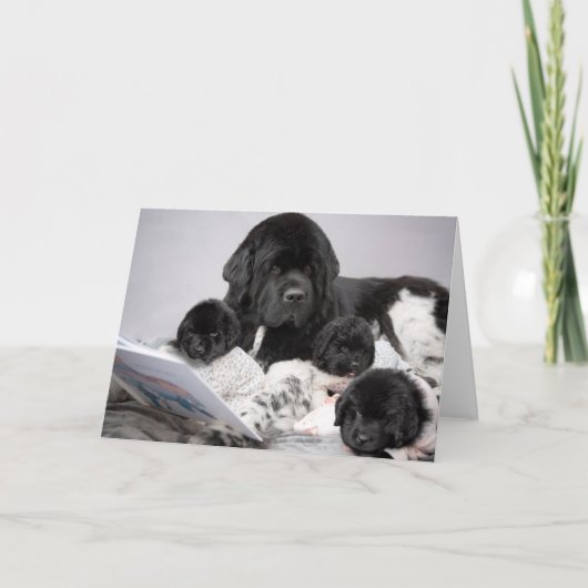 Carte de vœux pour chiot Notta Bear (Devant)
