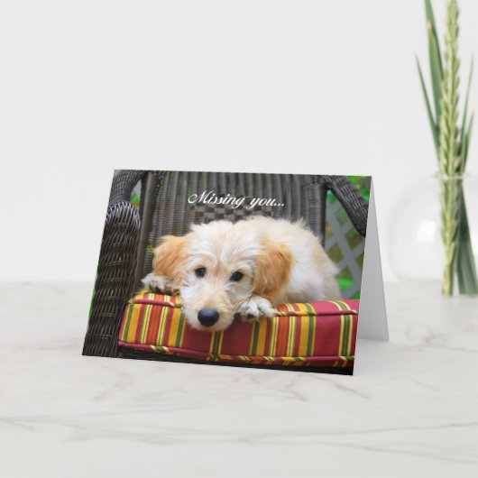 Carte de voeux pour Doodle doré (Devant)